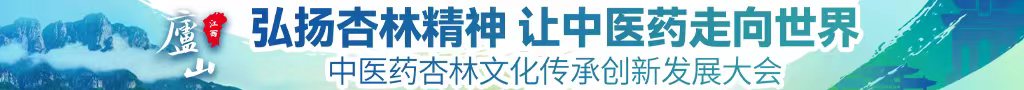 日av插吧擦擦啊中医药杏林文化传承创新发展大会